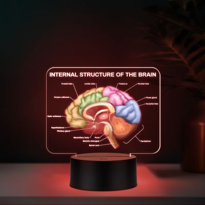 3D Illusion Internal Structure of The Brain LED Lamp, Anatomical Brain Model Night Light with Color Changing Black Base, Educational Medical Decor Science Student & Doctor Clinic Decor